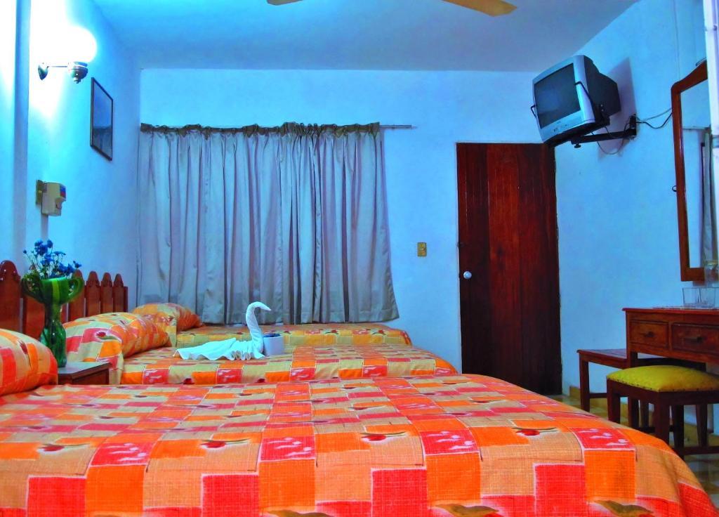 Hotel Acuario Catemaco Quarto foto
